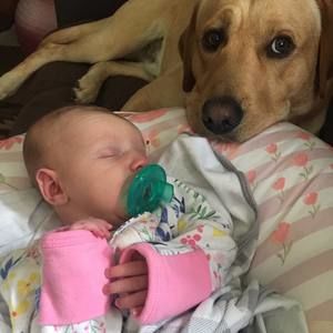 Meet your Posher, Rob